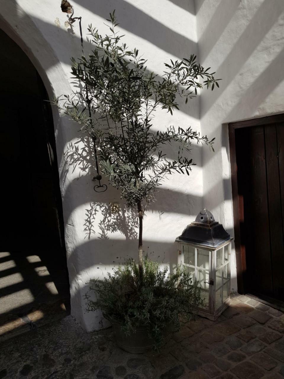 Hotel Schloss Amerang 外观 照片